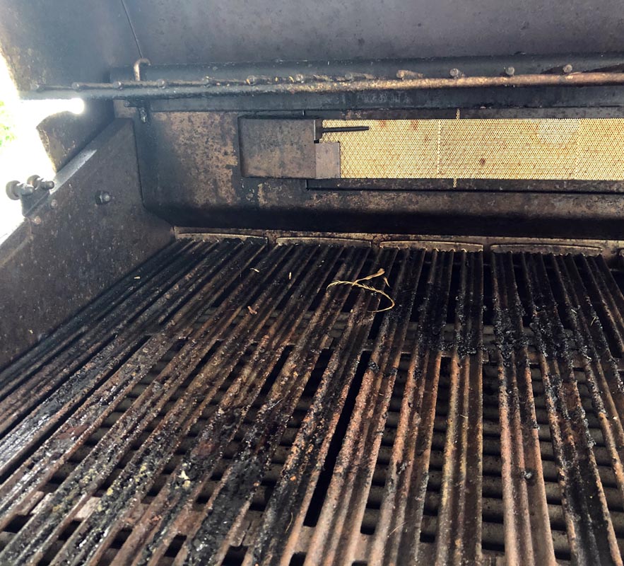 DCS Grill before grill cleaning in Winter Park